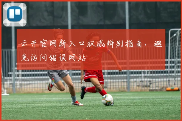 云开官网新入口权威辨别指南，避免访问错误网站