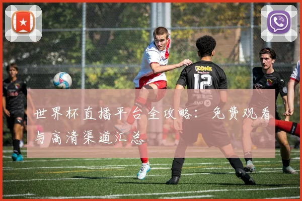 世界杯直播平台全攻略：免费观看与高清渠道汇总