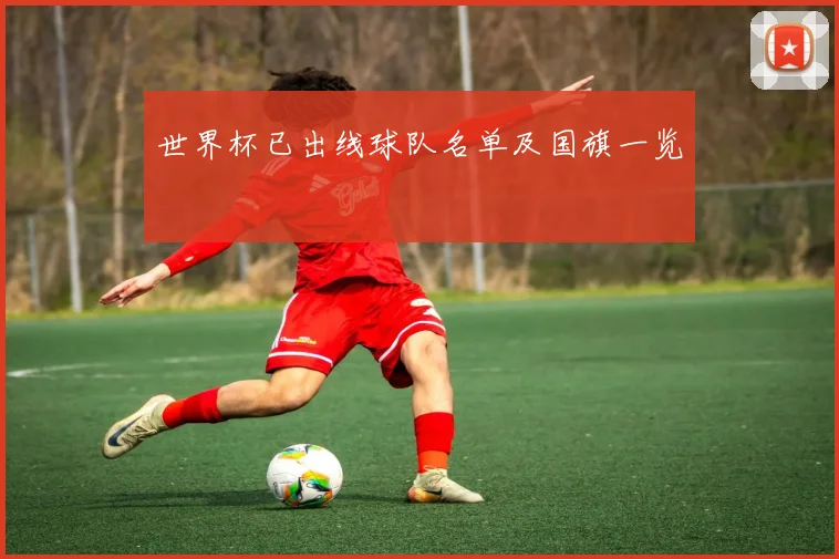 世界杯已出线球队名单及国旗一览