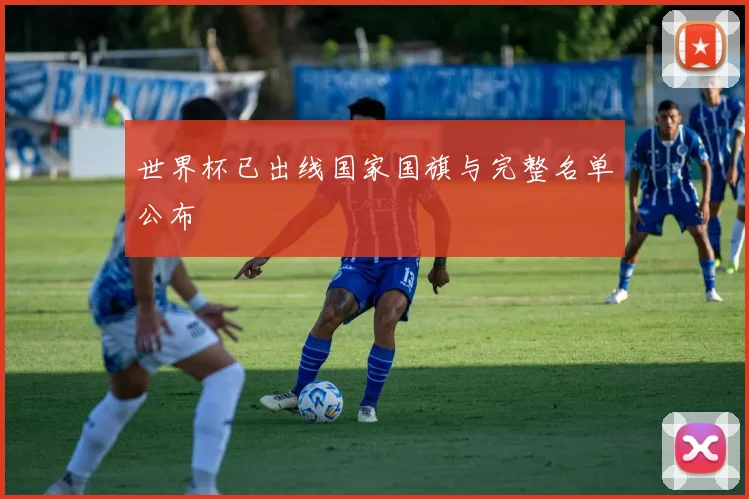 世界杯已出线国家国旗与完整名单公布