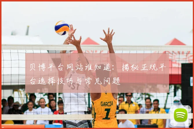 贝博平台网站谁知道：揭秘正规平台选择技巧与常见问题