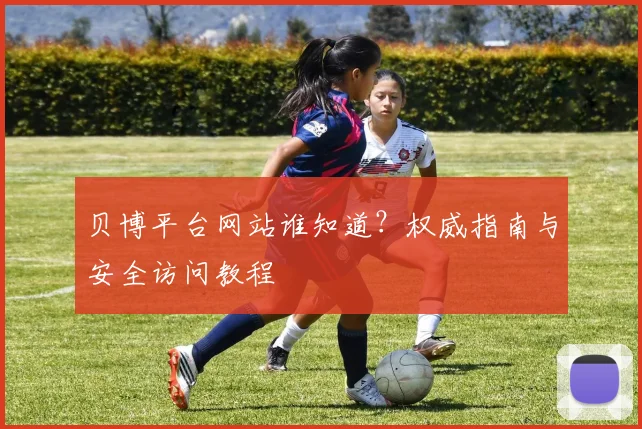 贝博平台网站谁知道？权威指南与安全访问教程