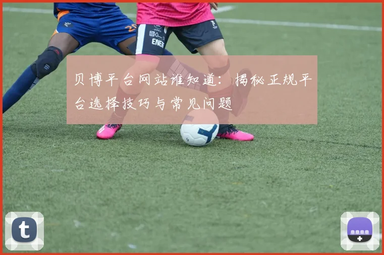 贝博平台网站谁知道：揭秘正规平台选择技巧与常见问题