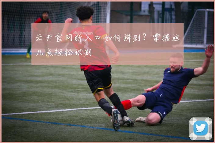 云开官网新入口如何辨别？掌握这几点轻松识别